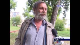 Скоро бердчане смогут сами контролировать исполнение правил дорожного движения