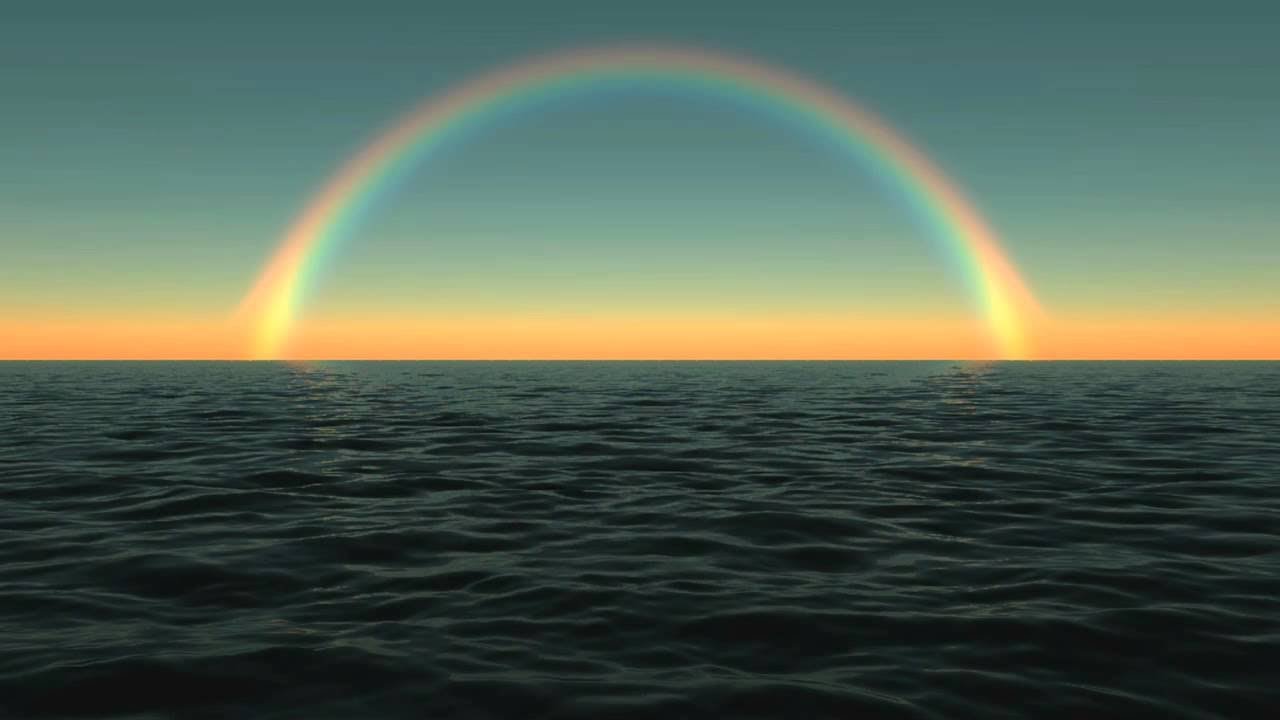 Premium HD Video Background HD0298 , Animated Backgrounds ...