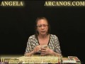 Video Horóscopo Semanal SAGITARIO  del 21 al 27 Febrero 2010 (Semana 2010-09) (Lectura del Tarot)