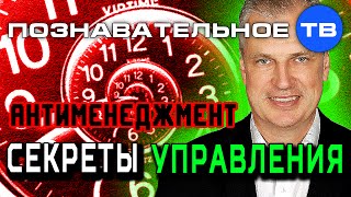 Антименеджмент: Секреты управления. Андрей Иванов