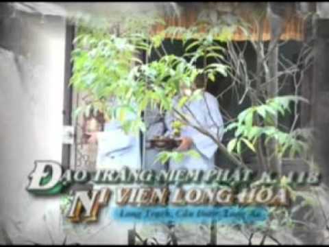 Chữ Tài Và Chữ Tâm