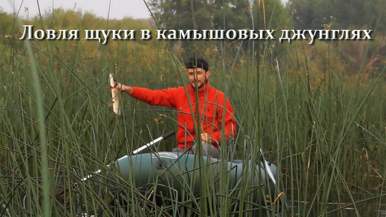 как ловят щуку на урале как ловят щуку на урале