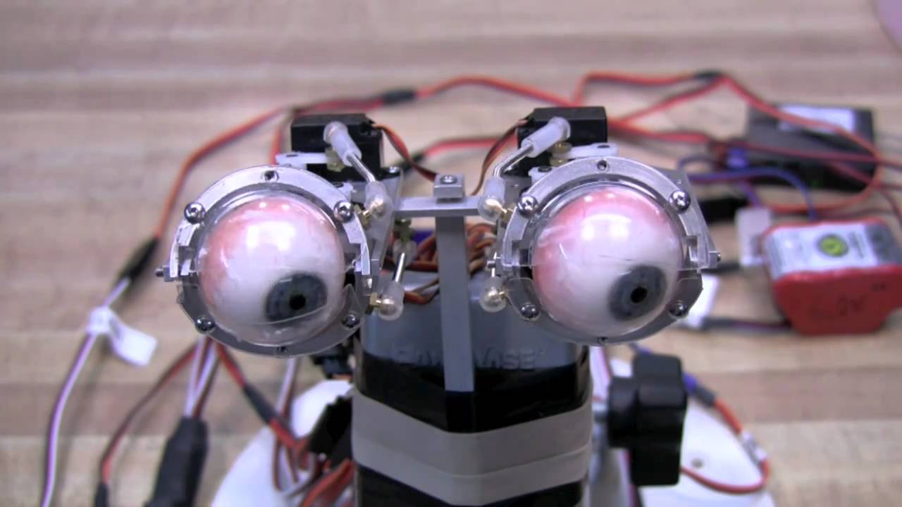 Animatronic Human Eyes - YouTube