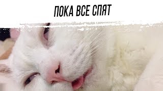 Превью: Пока все спят, я играю