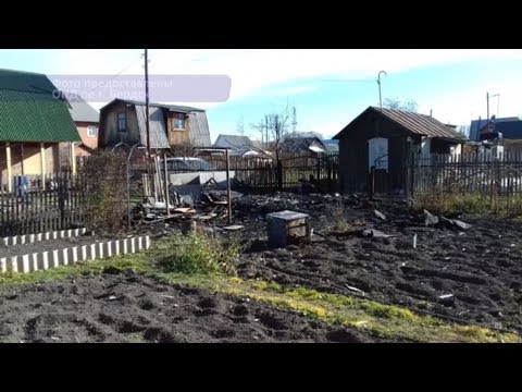 В бердском СНТ "Дружба" сгорела дача