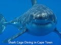 Cape Town Beach Vacations South Africa