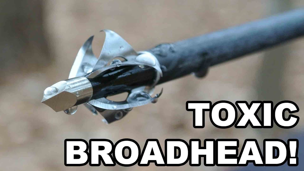 TOXIC Broadhead! Flying Arrow Archery's 6Bladed Innovation YouTube