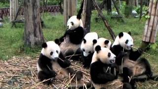 縮圖