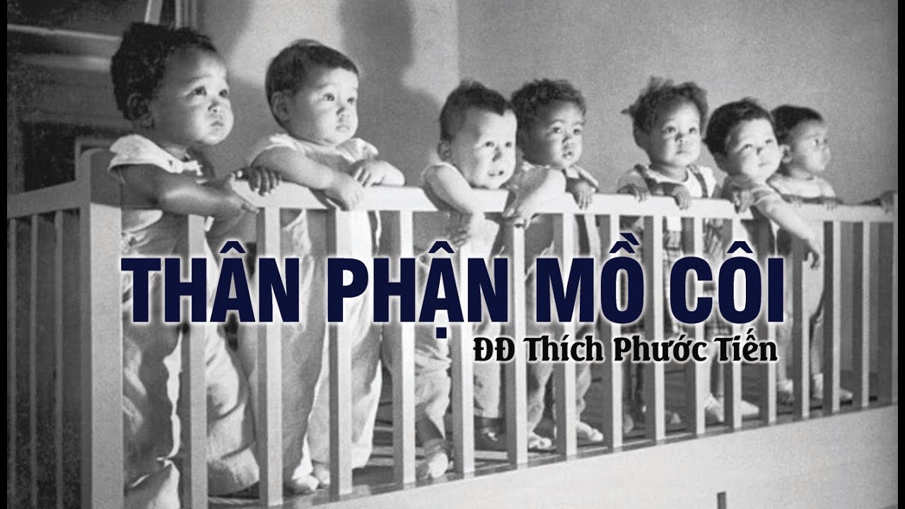 Chich+Phuoc+Tien Th226n Phn M C244i Thich Phuoc Tien 082012 YouTube. Thich Phuoc Tien ...