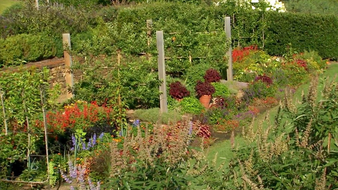 Wood Ash for Your Garden At Home With P. Allen Smith YouTube
