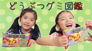 Kracie どうぶつグミ図鑑 　Animal gummy candy making kit