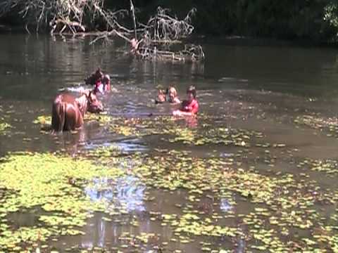 Mustang Rachel day 66 Swimming with friends