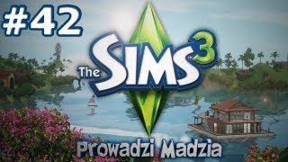 The SimS 3 - #42 - Bianka się wprowadza, kociak, ciąża i zbliżająca się starość