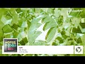 tyDi - Hotel Rooms (Out Now!)