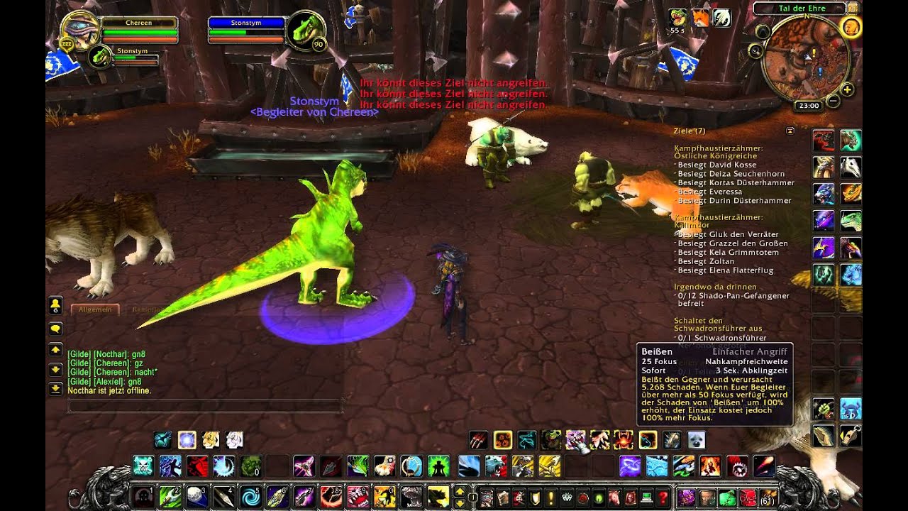 World of Warcraft Hunter Pets