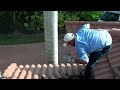 Bat Infestation Under Tile Roof- Roofing Miami, FL- Istueta Roofing