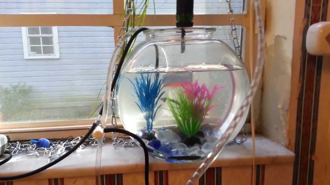 micro window aquaponics setup - YouTube