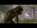 Evoluzione della Specie in 5 minuti