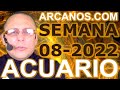 Video Horscopo Semanal ACUARIO  del 13 al 19 Febrero 2022 (Semana 2022-08) (Lectura del Tarot)