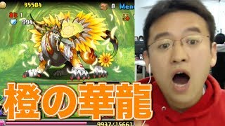 【パズドラ】橙の華龍 地獄級にバランスパで挑む！