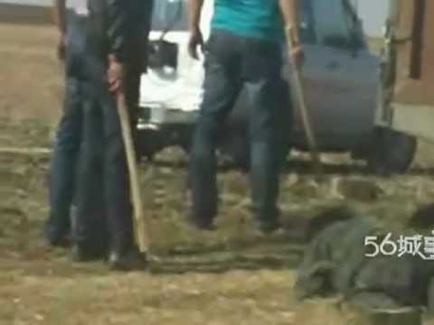 Phim Xã Hội Đen Hồng Kông 2014 - Phim Châu Tinh Trì - Quốc