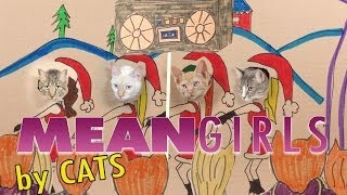 Mean Girls Parody - Mean Cats