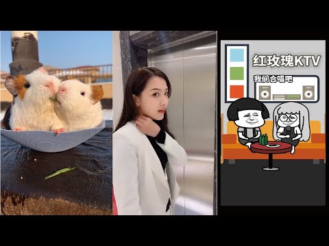TikTok【抖音】 Beauty, funny, street performance #06