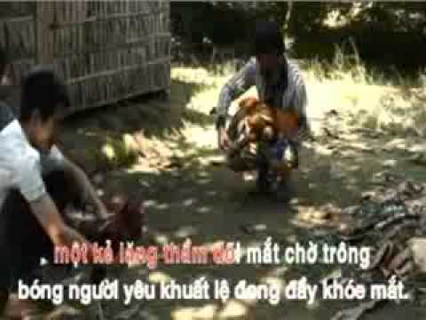 Hình ảnh trong video karaoke tanco Nguoi Di Ngoai Pho -ca voi 545