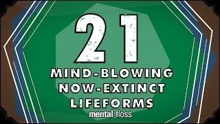 21 Mind-Blowing Now-Extinct Lifeforms - mental_floss on YouTube (Ep.51)