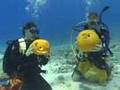 Underwater Pumpkin Carving Saipan Marianas Dive