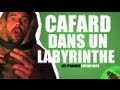 Les étranges expériences - Joachim le cafard sympa