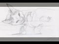 Chat chaton dessins dessinés rapidement Cute Kitty kitten cat sketches