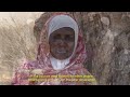 Gum Arabic: Sudan's Hot Commodity