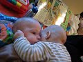 Funny twin baby video