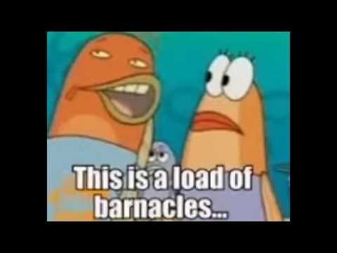 This Is A Load Of Barnacles - Youtube