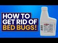 How to get rid of bed bugs ?