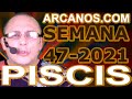 Video Horscopo Semanal PISCIS  del 14 al 20 Noviembre 2021 (Semana 2021-47) (Lectura del Tarot)