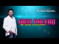 NICU PALERU - Hai pustoaico Manele de Colectie