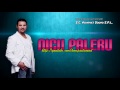 NICU PALERU - Hai pustoaico Manele de Colectie