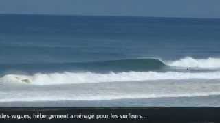 Lacanau Surf Report - Vendredi 14 Juin 11H30