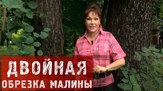 68. Двойная обрезка малины.