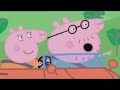 PEPP 'A PORC