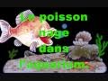 Prépositions-temps-lieu-mouvement