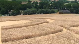 CERCHIO NEL GRANO ROBELLA 02-07-2013 CROP CIRCLES parte 3