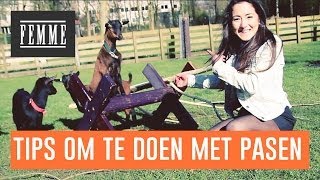 Tips om te doen met Pasen - FEMME