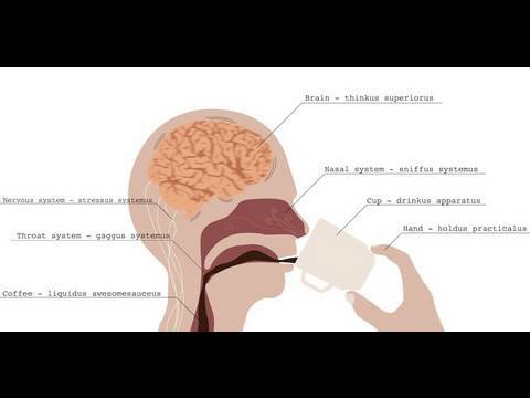 what are the effects of caffeine on the brain