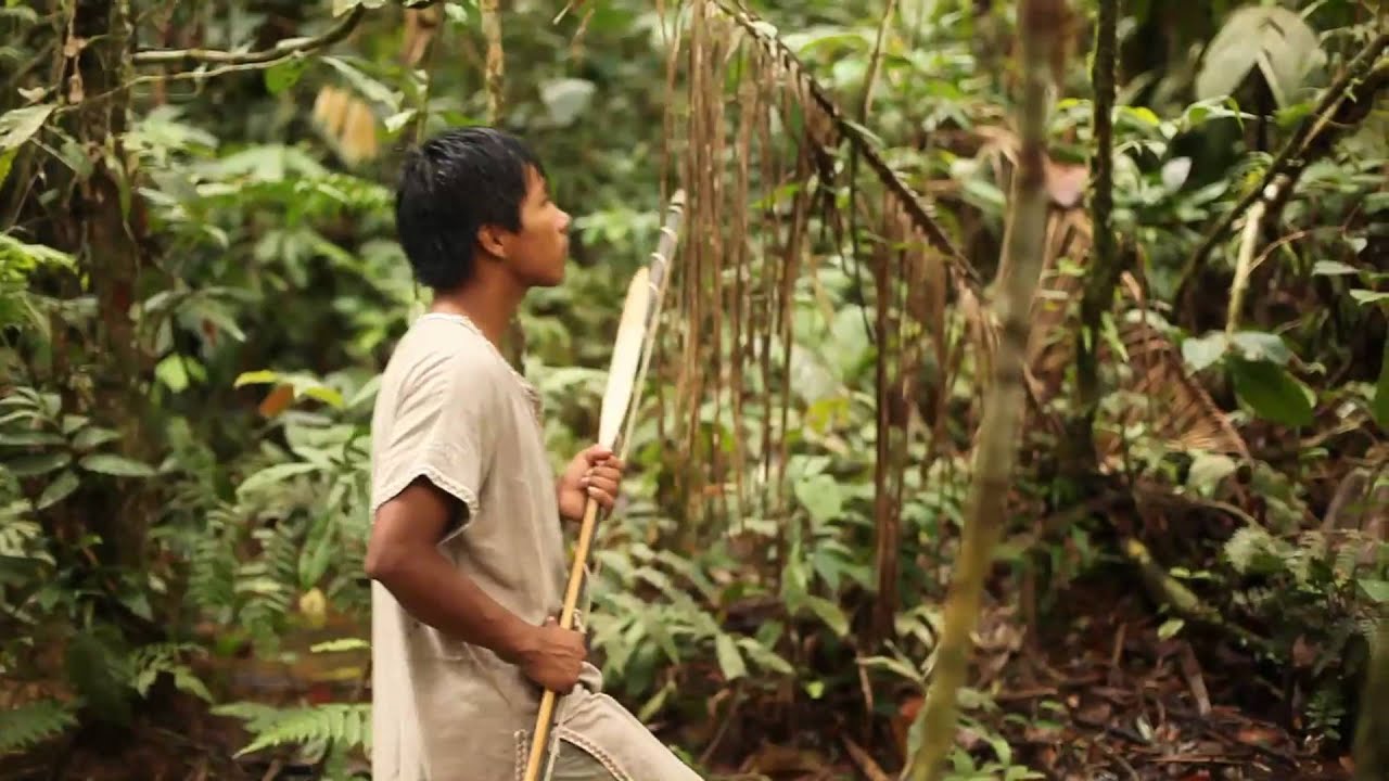VIDA DE LOS PUEBLOS INDIGENAS vida de los pueblos indigenas: