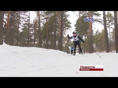 Первенство по лыжным гонкам в Искитиме состоялось