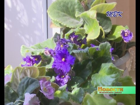 Всех садоводов Искитимского района приглашают на весенний форум