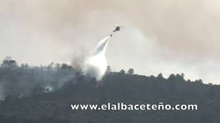 Incendio forestal cerca de la provincia. Verano 2019